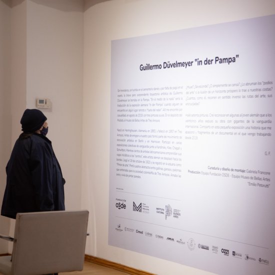 Se inauguró la muestra de Guillermo Düvelmeyer en el Espacio de Arte Fundación OSDE