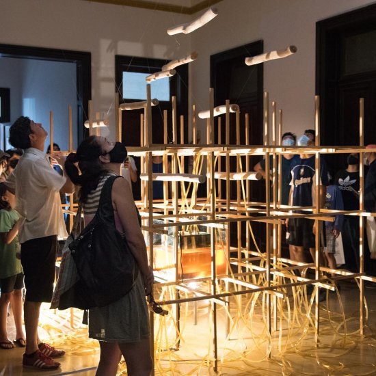 Museo rodante / Colecciones en movimiento /  Parque Pereyra 