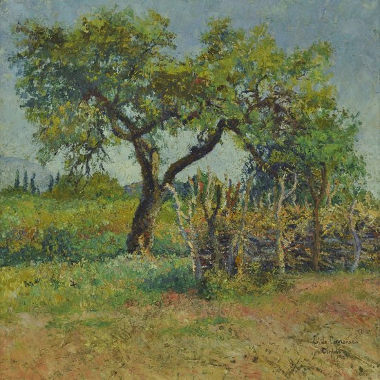 Inv. 62 / Enrique de Larrañaga / Algarrobo de corral / MPBA