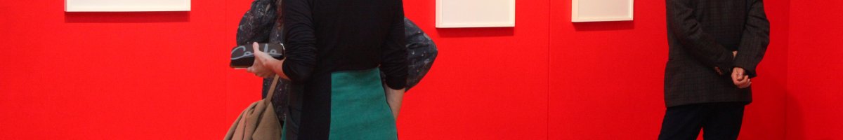 Se inauguró la muestra de Guillermo Düvelmeyer en el Espacio de Arte Fundación OSDE