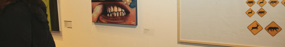 Salón Provincial de Arte Joven 2026