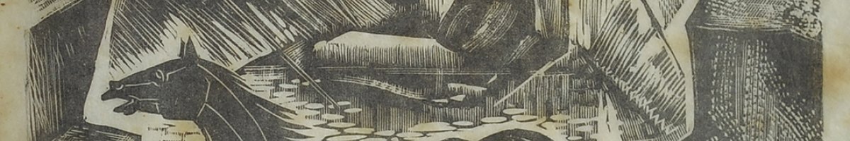 Inv. 2265 / Adolfo Bellocq / El Domuyo / MPBA