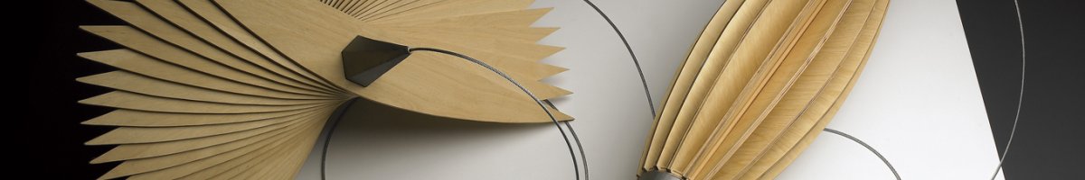 Inv 3253 / Mariana Shapiro / Giros, volteretas y cabriolas / MPBA
