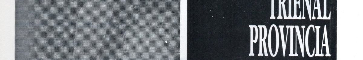 X salón Trienal de la Provincia de Buenos Aires / Historia de los Salones Provinciales / 1993
