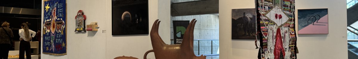 Salón Provincial de Artes Visuales 
