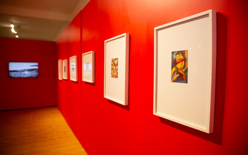 Se inauguró la muestra de Guillermo Düvelmeyer en el Espacio de Arte Fundación OSDE