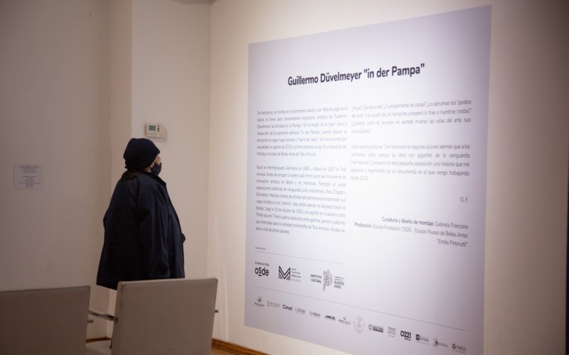 Se inauguró la muestra de Guillermo Düvelmeyer en el Espacio de Arte Fundación OSDE