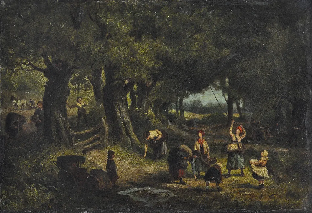 Interior de bosque
