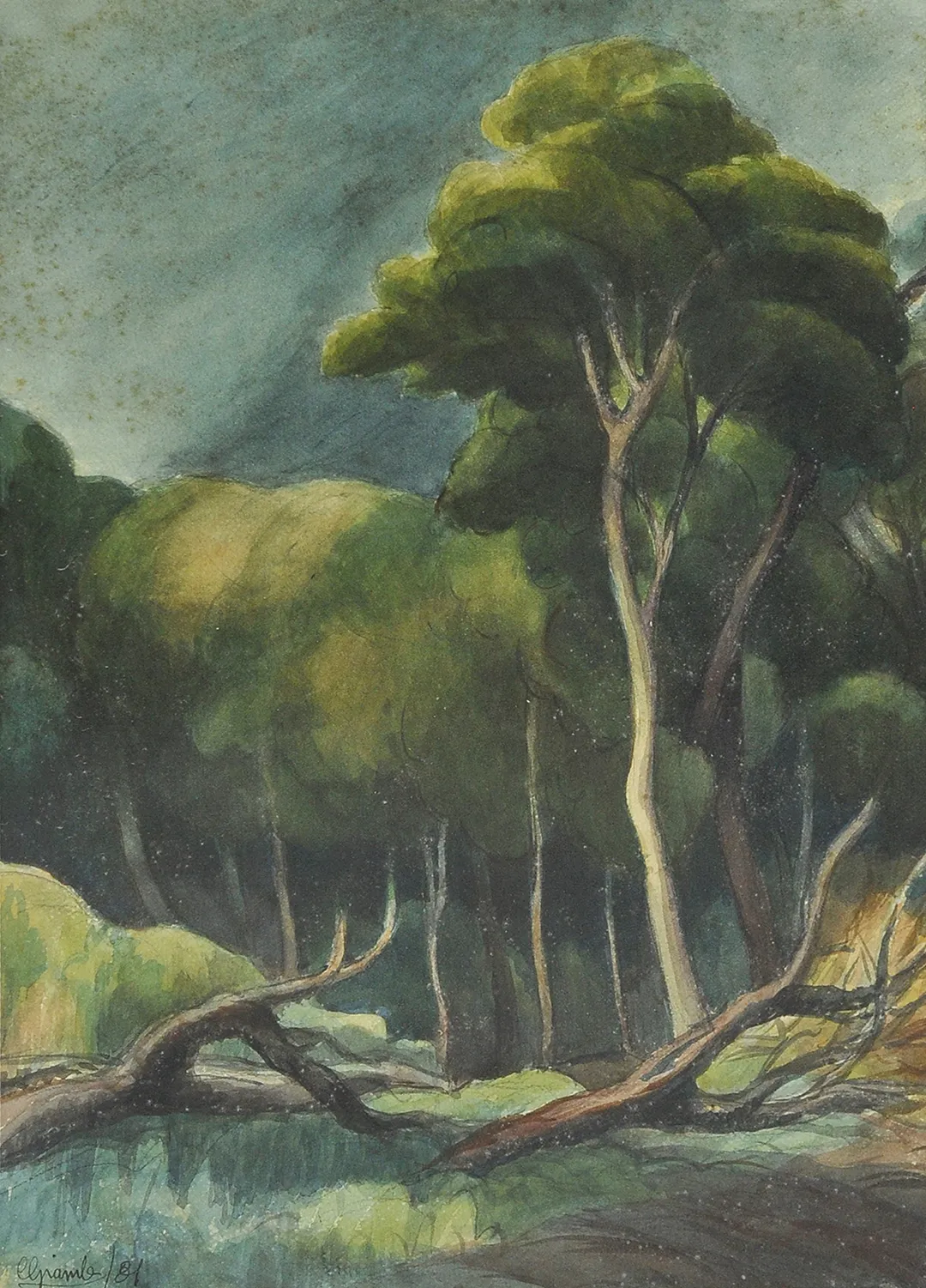 Inv. 114 / Carlos Gualberto Giambiagi / Bosque chaqueño / MPBA