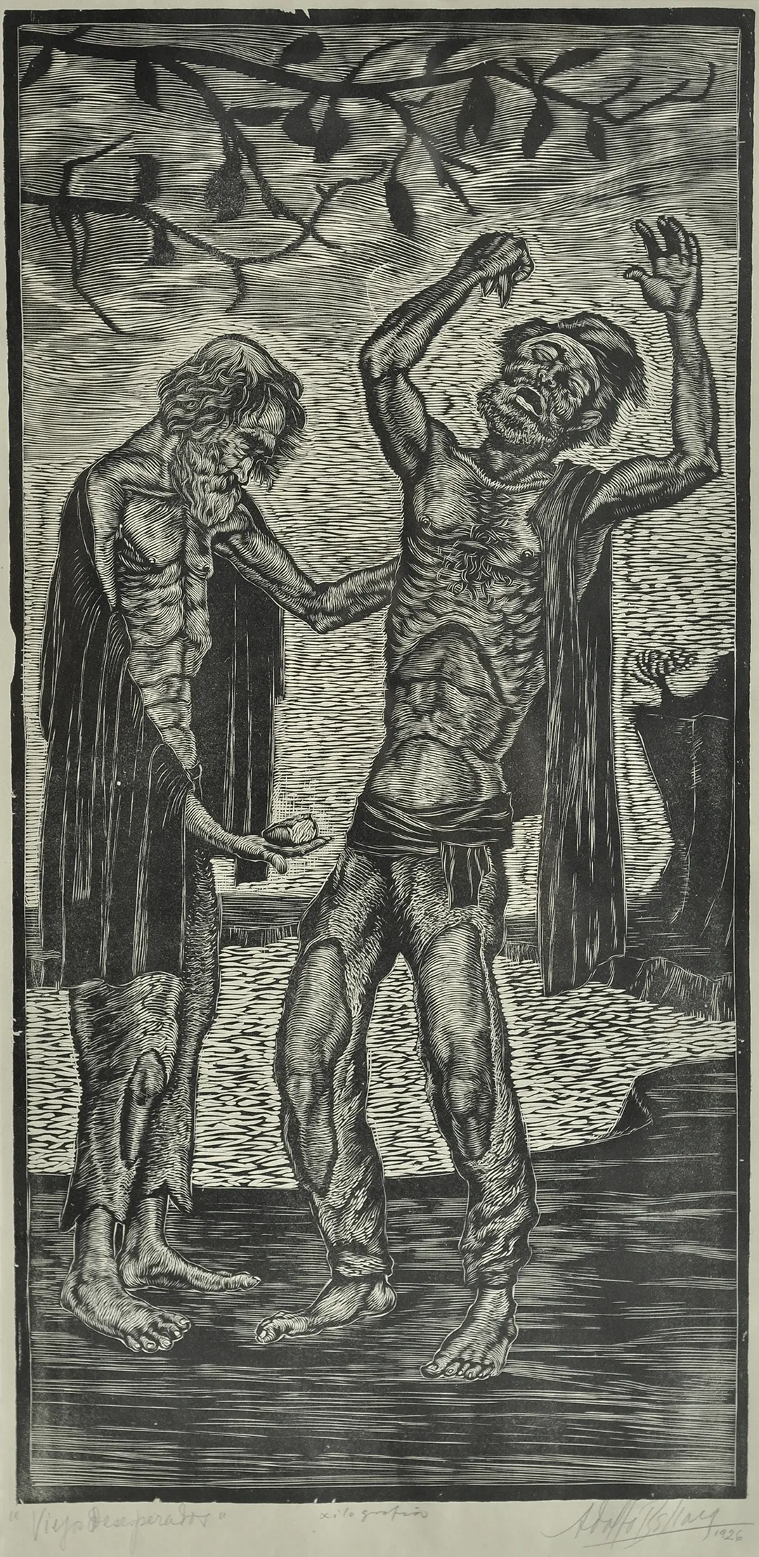 Inv. 2294 / Adolfo Bellocq / Viejos desesperados / MPBA