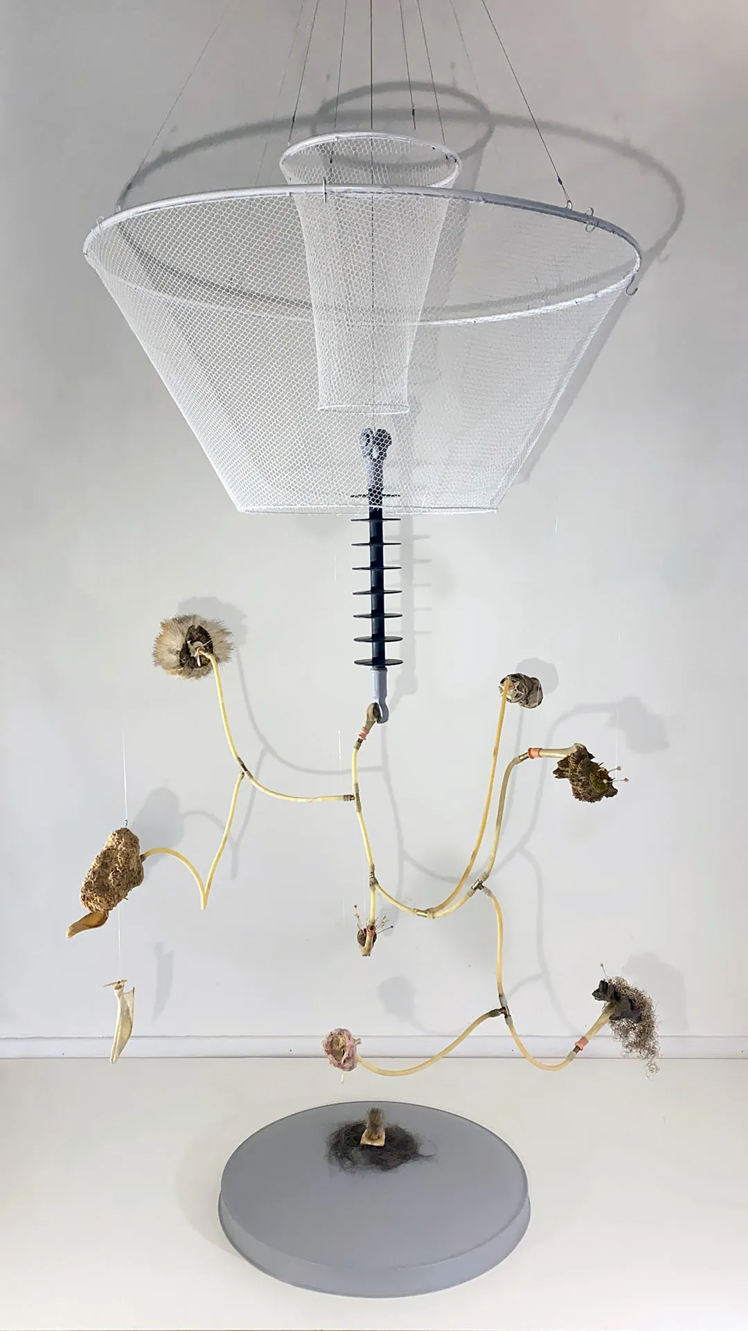 Inv. 3384 / Radar / Valentín Asprella Lozano / MPBA